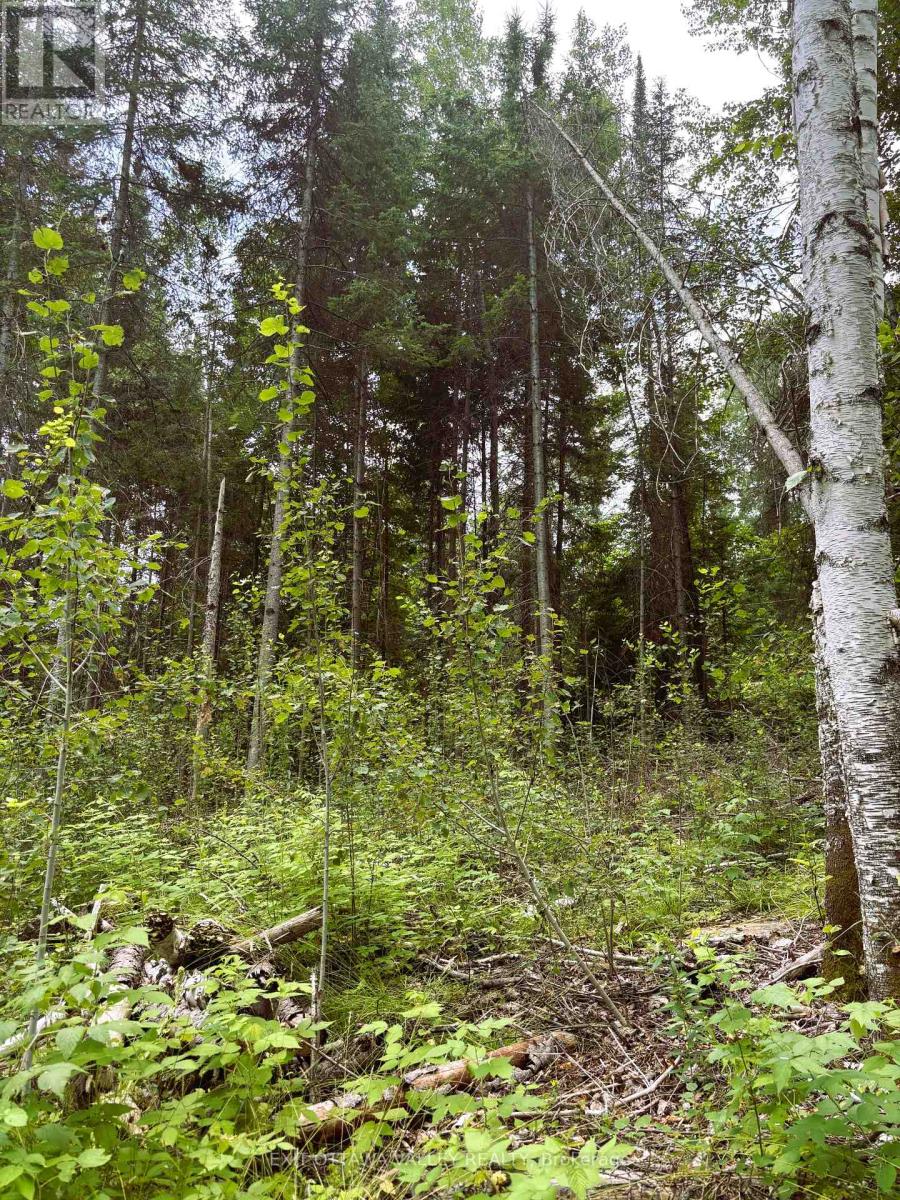 001 Siberia Road, Madawaska Valley, Ontario  K0J 1B0 - Photo 5 - X12312462