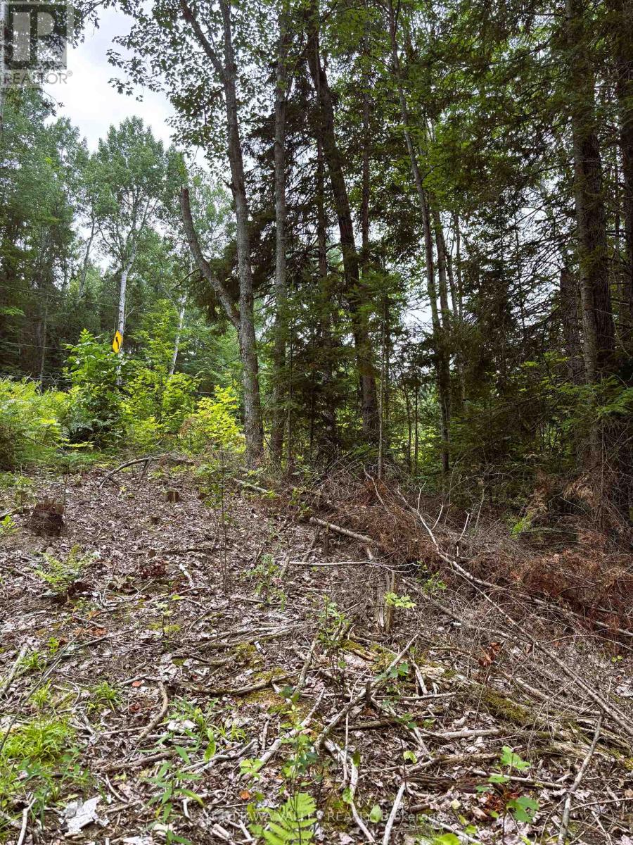 001 Siberia Road, Madawaska Valley, Ontario  K0J 1B0 - Photo 7 - X12312462