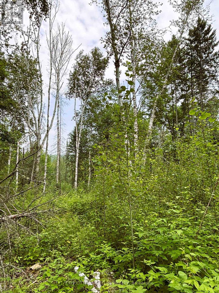 001 Siberia Road, Madawaska Valley, Ontario  K0J 1B0 - Photo 8 - X12312462