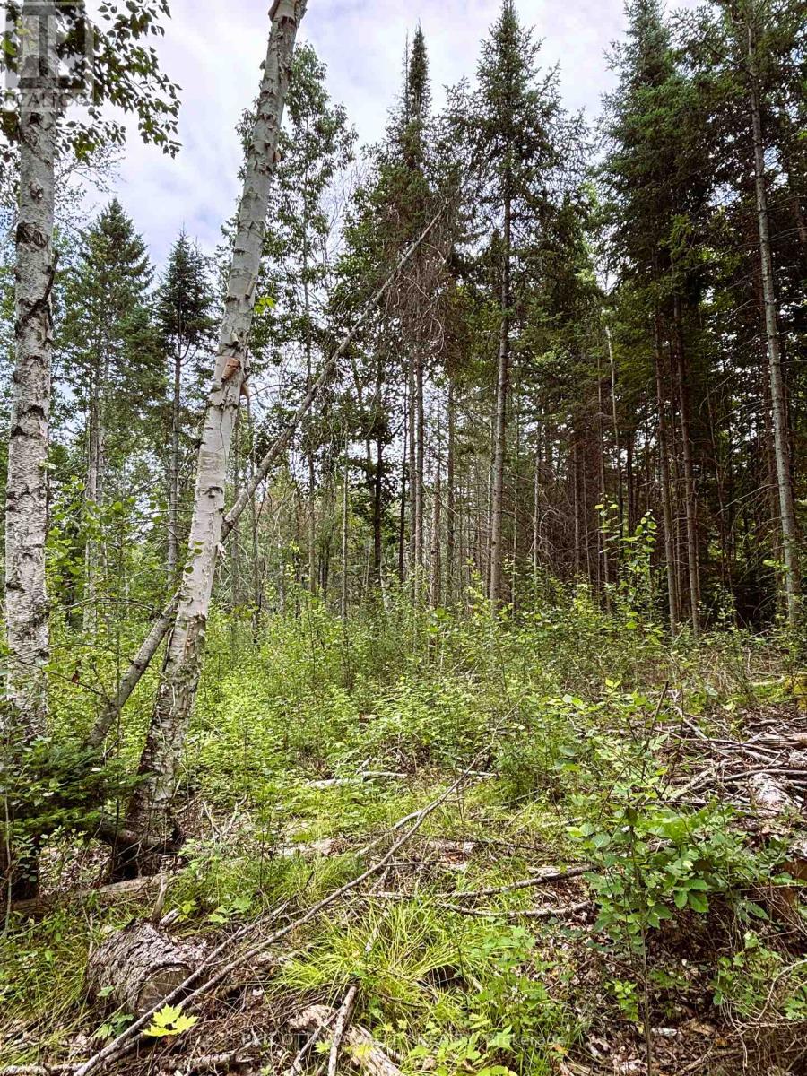 001 Siberia Road, Madawaska Valley, Ontario  K0J 1B0 - Photo 9 - X12312462