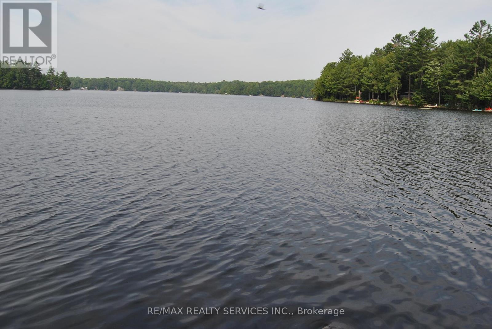 1102 Lakeshore Drive S, Bracebridge (Oakley), Ontario  P1L 1X3 - Photo 37 - X12314539