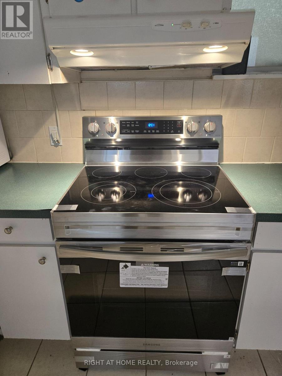Bsmnt - 289 Churchill Avenue, Toronto, Ontario  M2R 1E5 - Photo 3 - C12181111