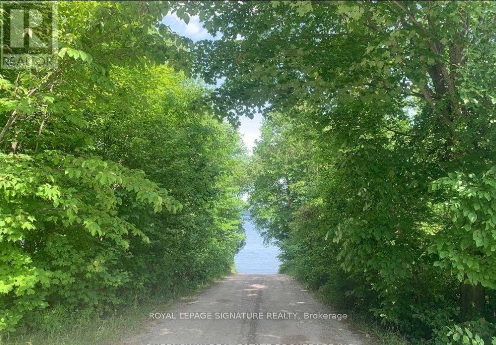 12 Suter Drive, Kawartha Lakes, Ontario  K0M 2B0 - Photo 2 - X12314620