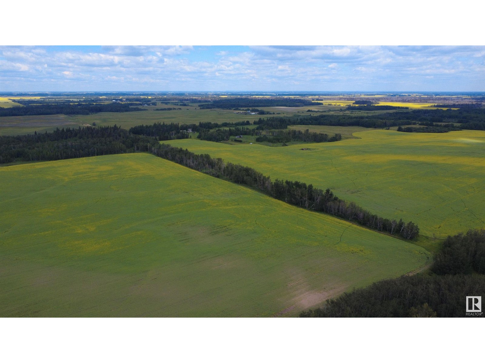 57323 Rr212, Rural Sturgeon County, Alberta  T0A 2W0 - Photo 3 - E4450288