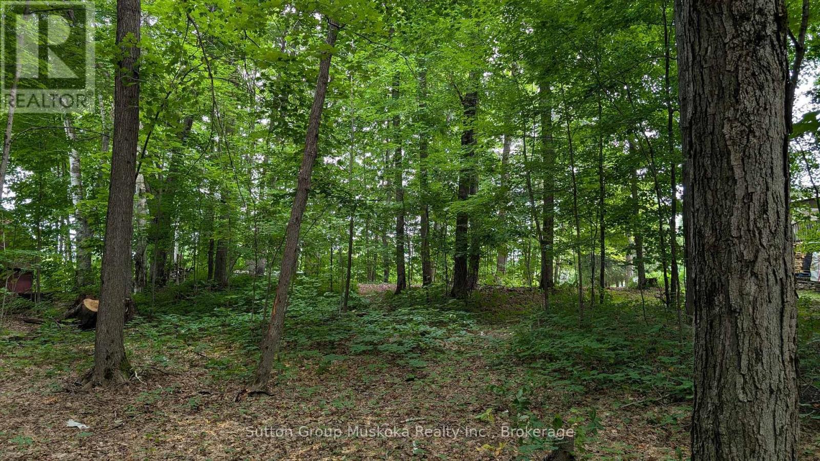 837 Aspdin Road, Huntsville, Ontario  P1H 0H2 - Photo 1 - X12314786