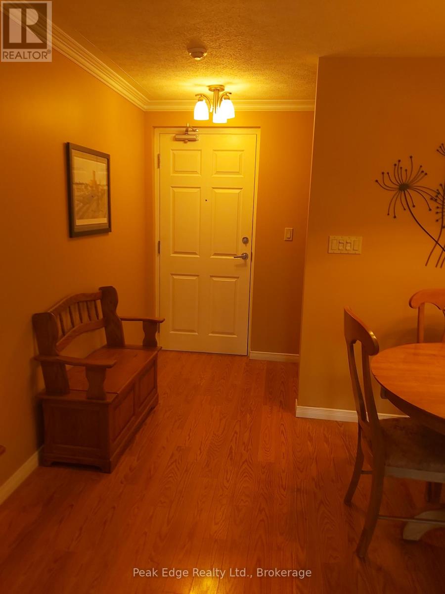 201 - 85 William Street N, Brockton, Ontario  N0G 2V0 - Photo 8 - X12314916