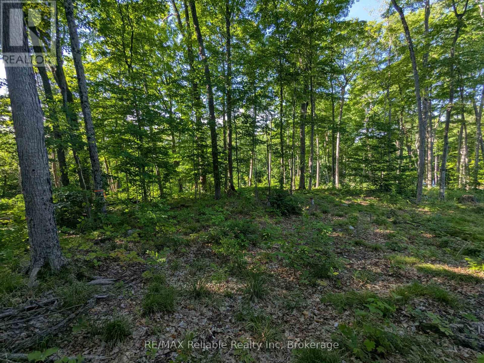 223 Shady Maple Road, Mcnab/braeside, Ontario  K0J 1G0 - Photo 12 - X12315019