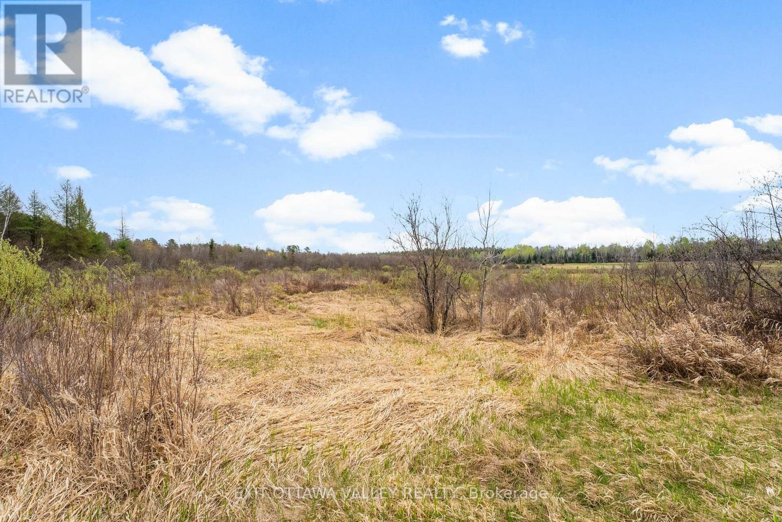 00 Hildebrandt Street N, Madawaska Valley, Ontario  K0J 1B0 - Photo 17 - X12152555