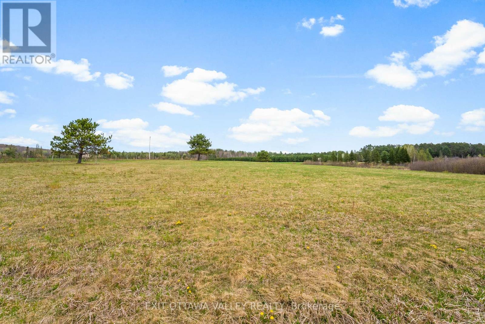 00 Hildebrandt Street N, Madawaska Valley, Ontario  K0J 1B0 - Photo 37 - X12152555
