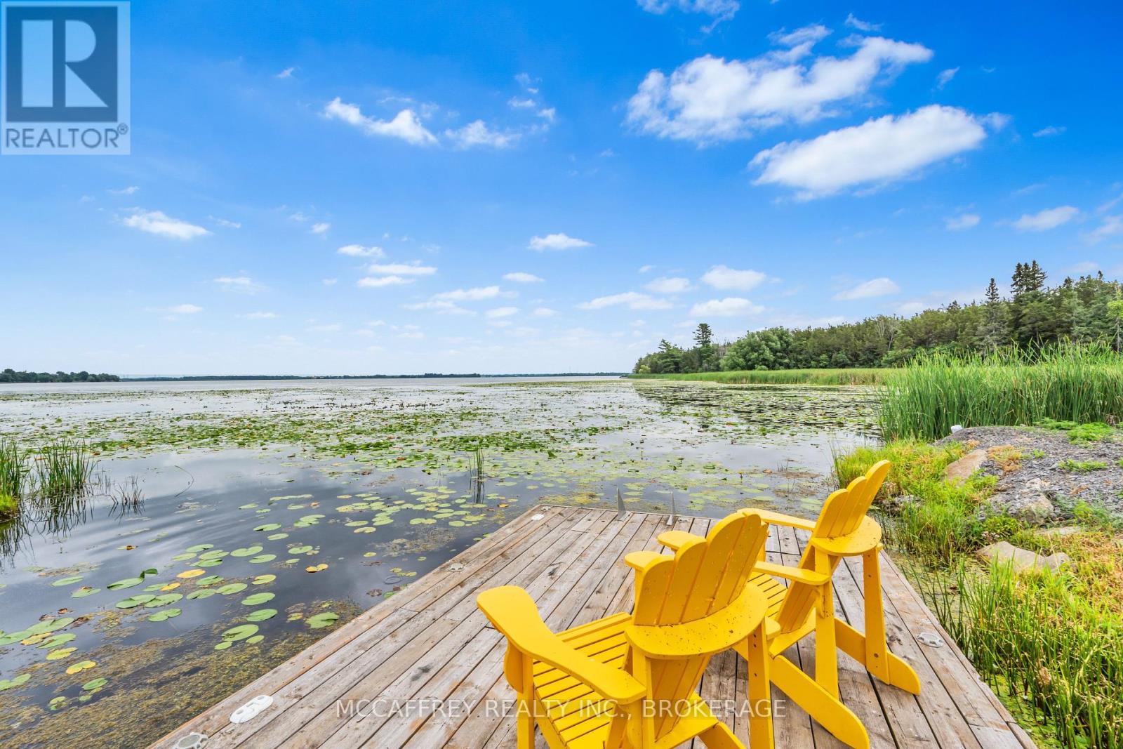 6019 County Road 9, Greater Napanee, Ontario  K7R 3K8 - Photo 43 - X12315254