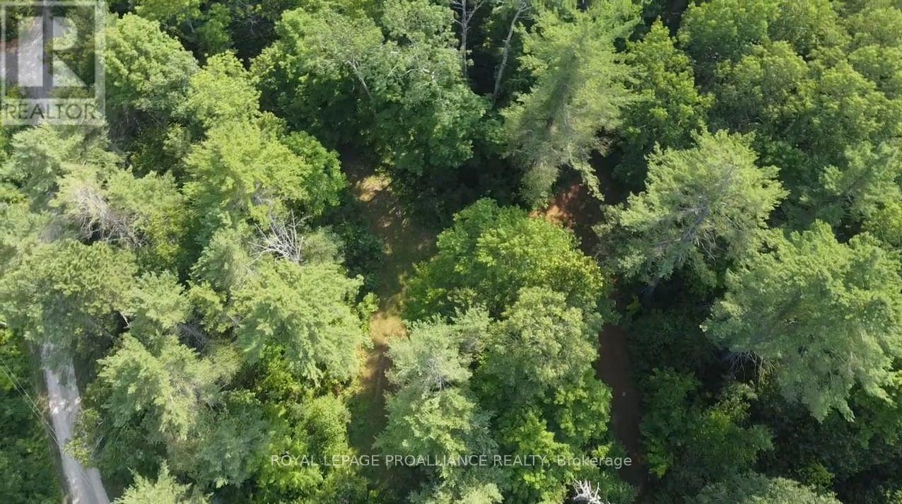 1026 Waterworth Lane, Frontenac, Ontario K0H 2M0 - Photo 10 - X12315309