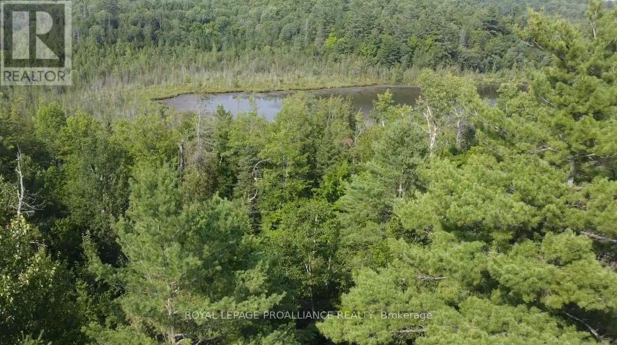 1026 Waterworth Lane, Frontenac, Ontario K0H 2M0 - Photo 14 - X12315309