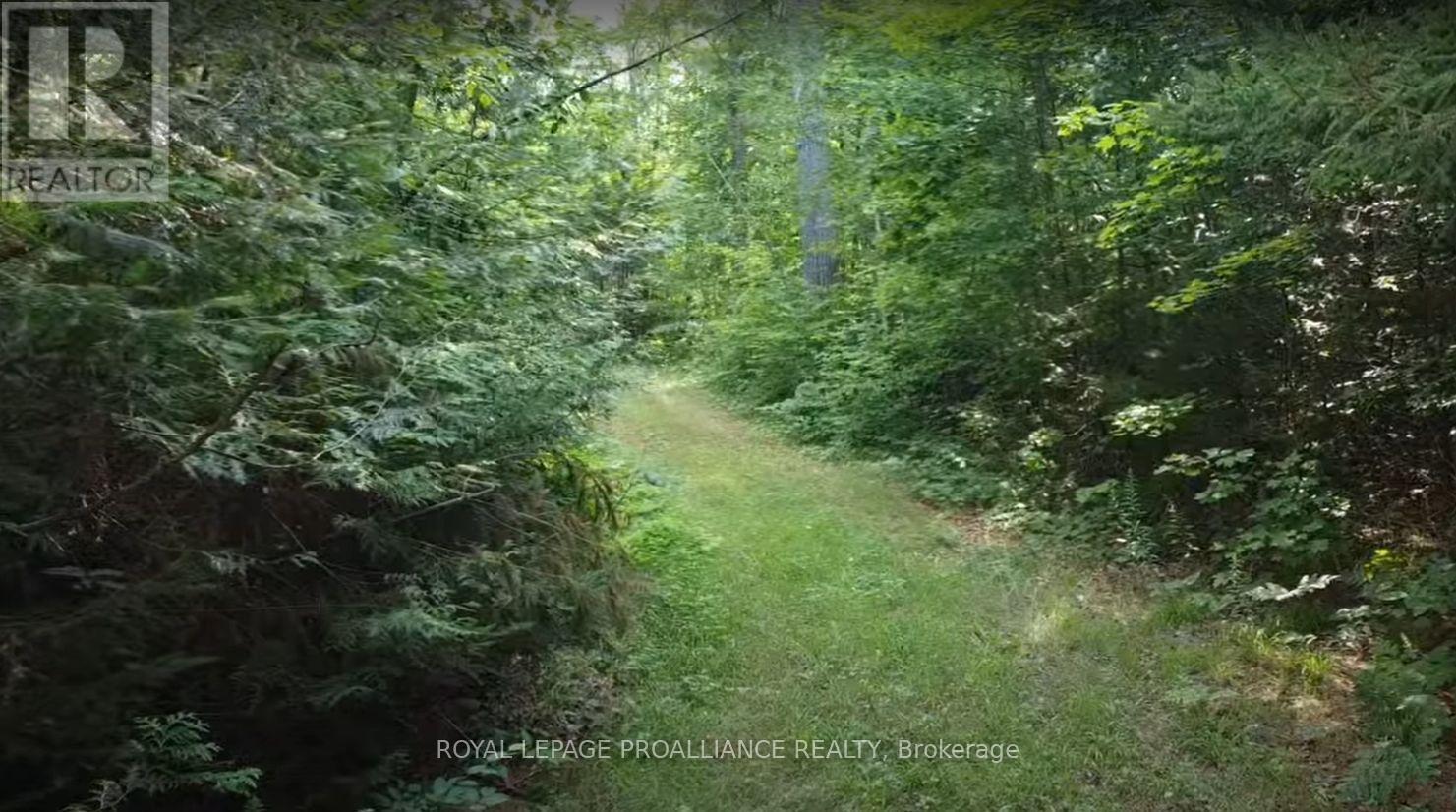 1026 Waterworth Lane, Frontenac, Ontario K0H 2M0 - Photo 3 - X12315309