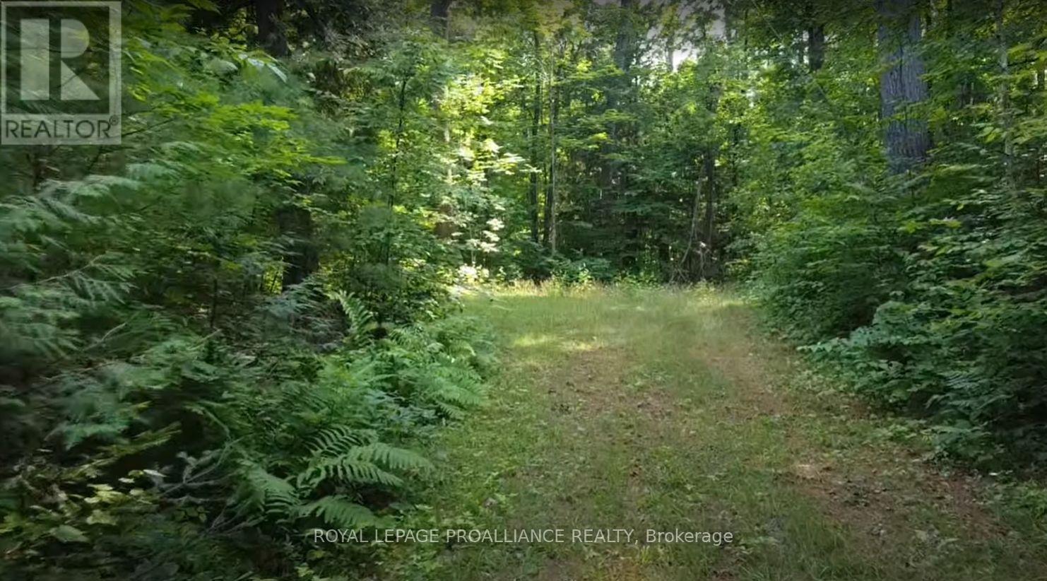 1026 Waterworth Lane, Frontenac, Ontario K0H 2M0 - Photo 4 - X12315309