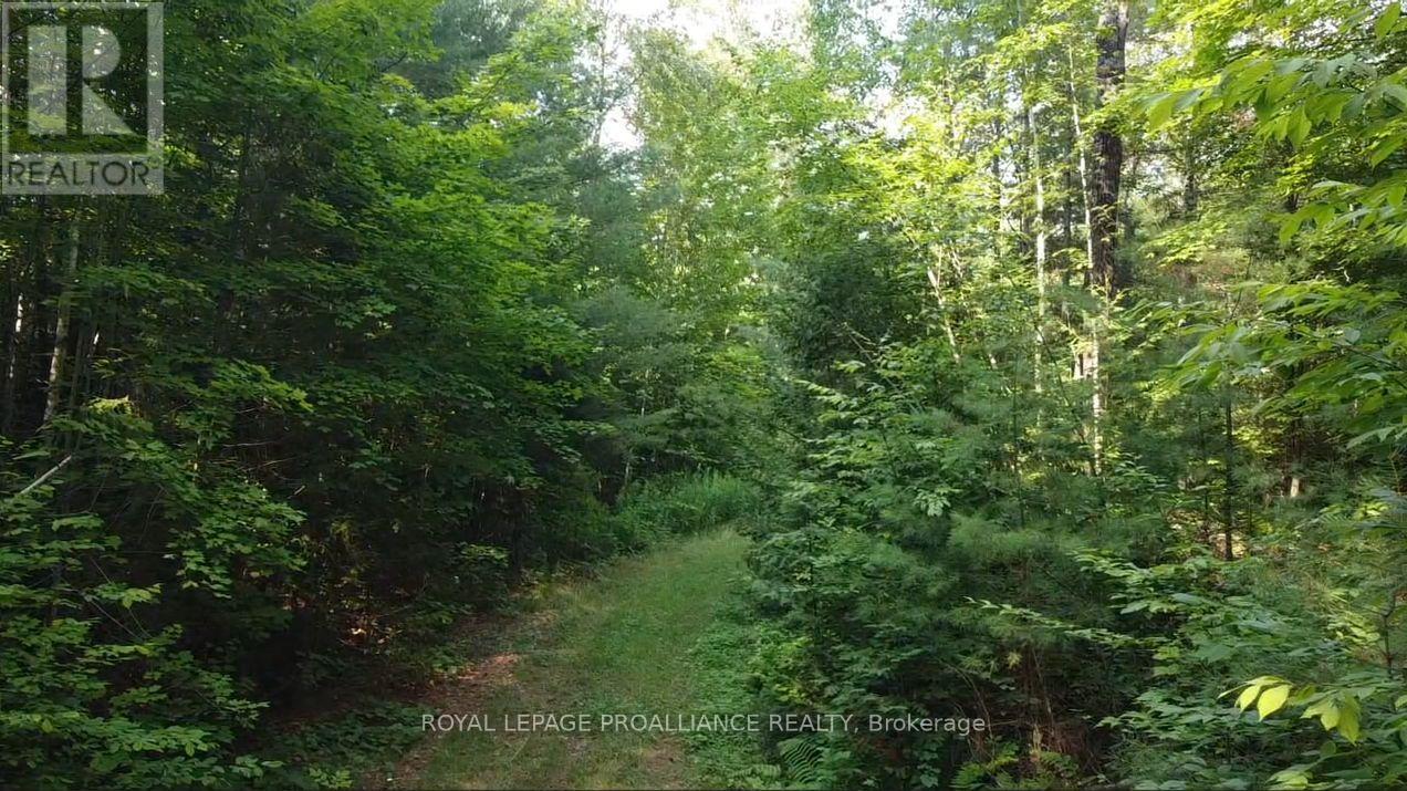 1026 Waterworth Lane, Frontenac, Ontario K0H 2M0 - Photo 5 - X12315309