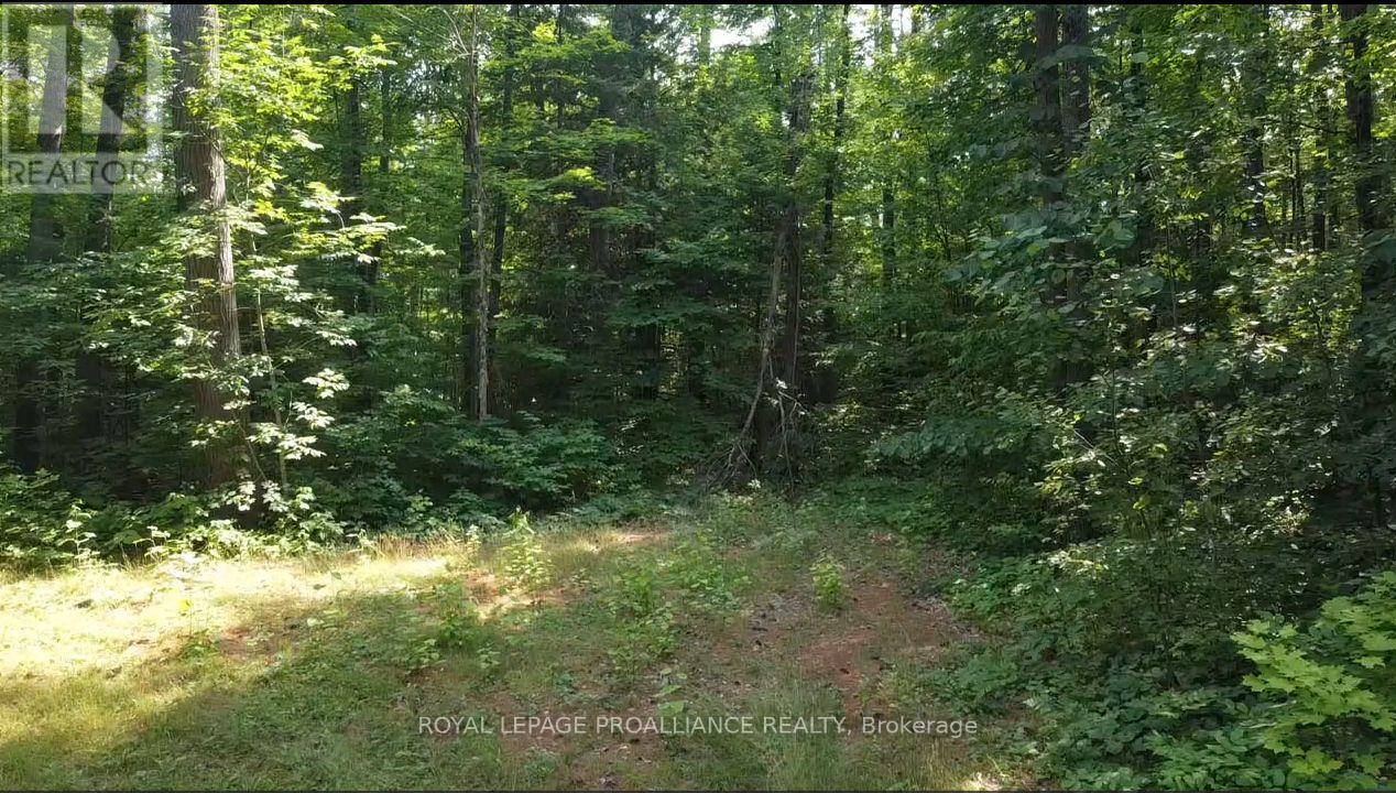 1026 Waterworth Lane, Frontenac, Ontario K0H 2M0 - Photo 7 - X12315309