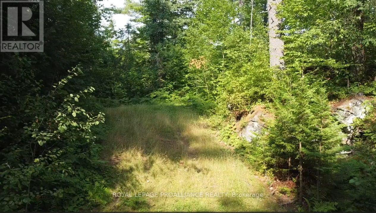 1026 Waterworth Lane, Frontenac, Ontario K0H 2M0 - Photo 8 - X12315309