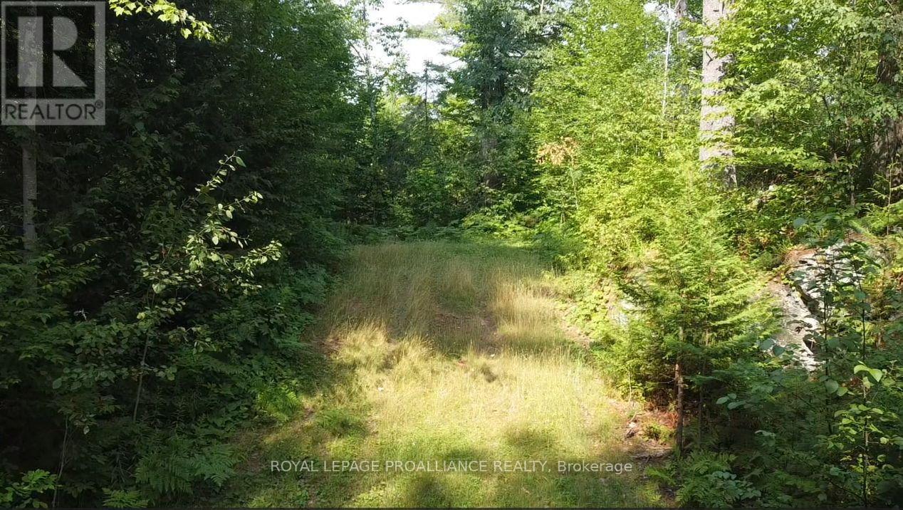 1026 Waterworth Lane, Frontenac, Ontario K0H 2M0 - Photo 9 - X12315309