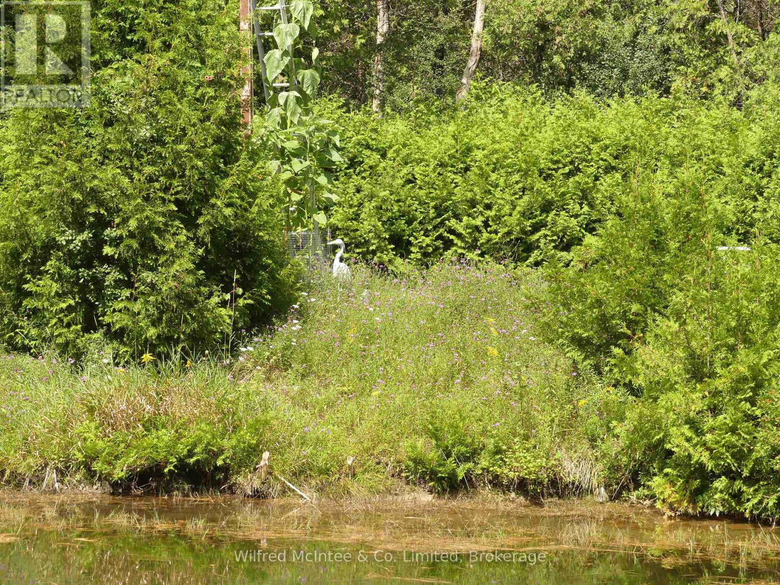 36823 Belfast Road, Ashfield-Colborne-Wawanosh, Ontario  N0G 2H0 - Photo 25 - X12315435