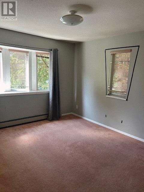 3 E 43rd Avenue, Vancouver, British Columbia  V5W 1S7 - Photo 12 - R2969160