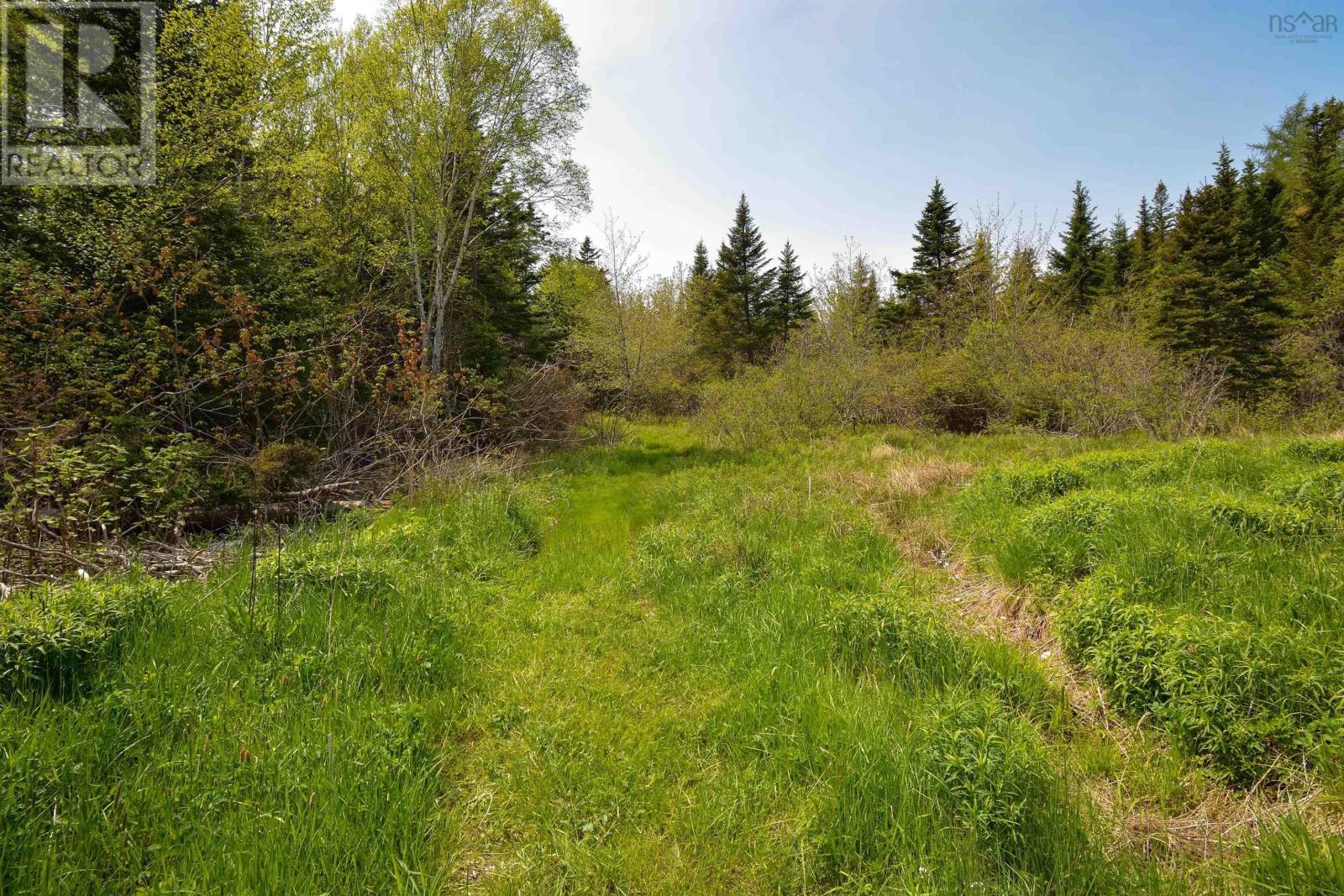 8982 Pepperell Street, St. Peter's, Nova Scotia  B0E 3B0 - Photo 42 - 202513800