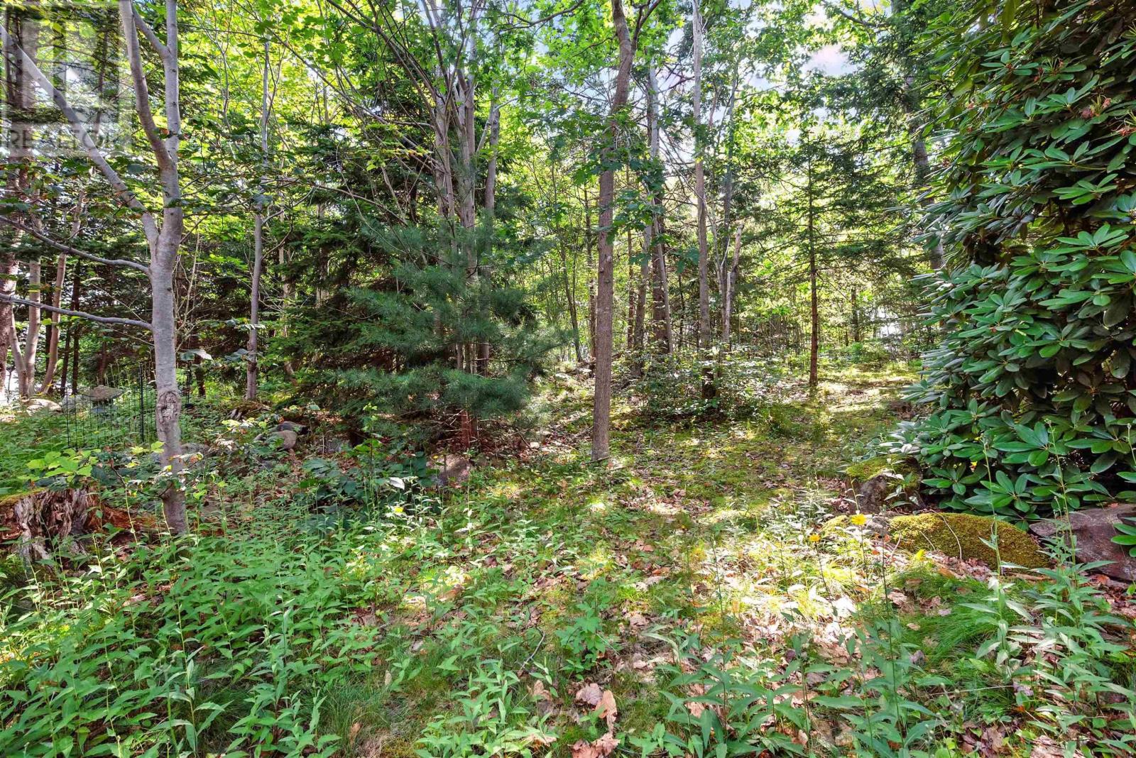 221 Spinnaker Drive, Halifax Peninsula, Nova Scotia  B3N 3C3 - Photo 37 - 202517807