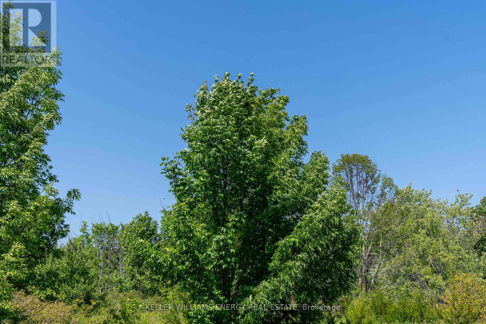 0 North Marysburgh Court, Prince Edward County, Ontario K0K 2T0 - Photo 19 - X12315456