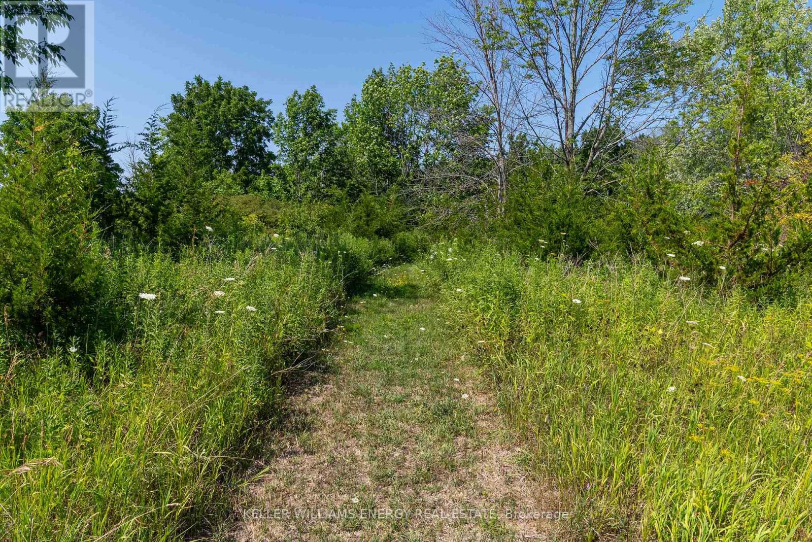 0 North Marysburgh Court, Prince Edward County, Ontario K0K 2T0 - Photo 24 - X12315456