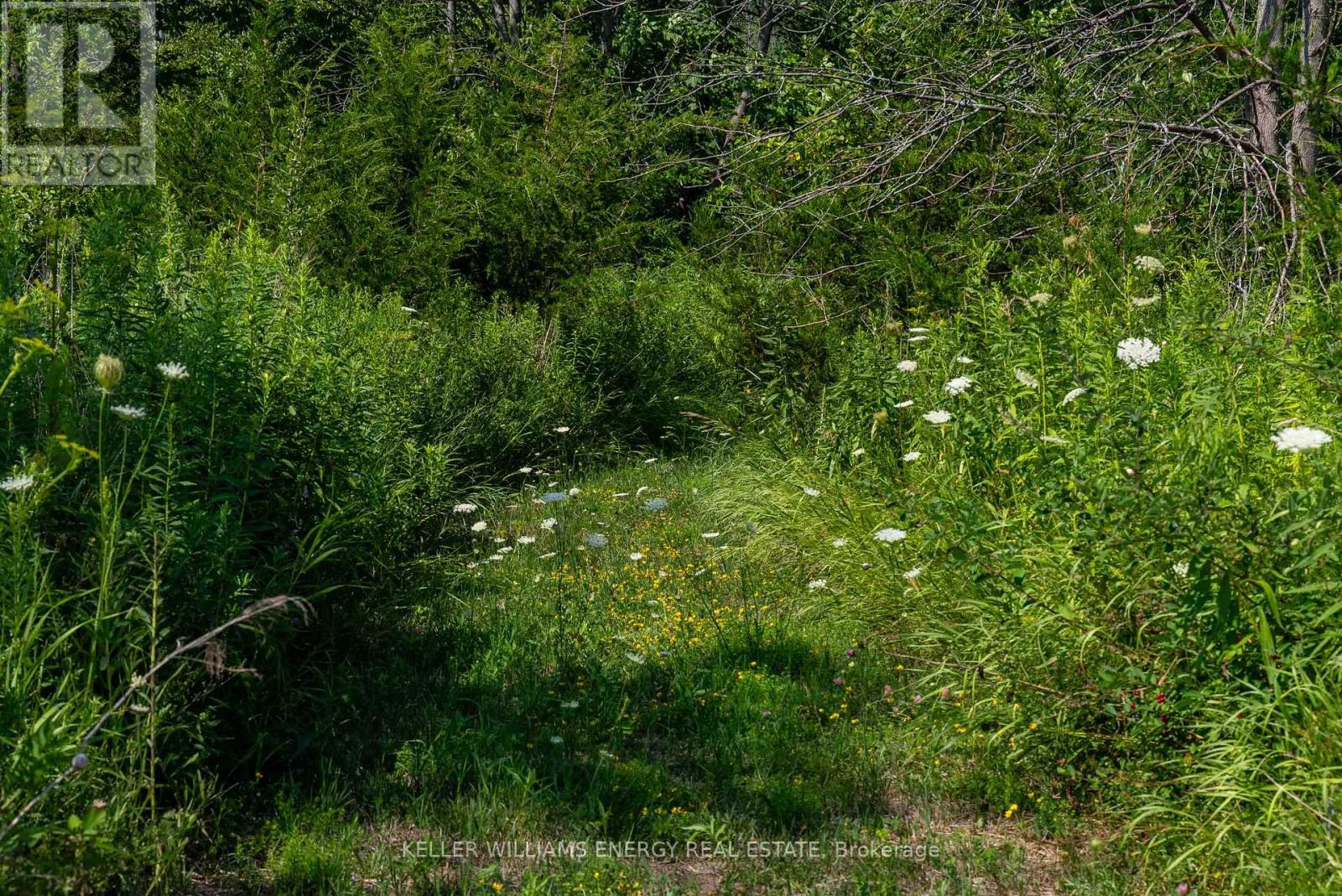 0 North Marysburgh Court, Prince Edward County, Ontario K0K 2T0 - Photo 25 - X12315456