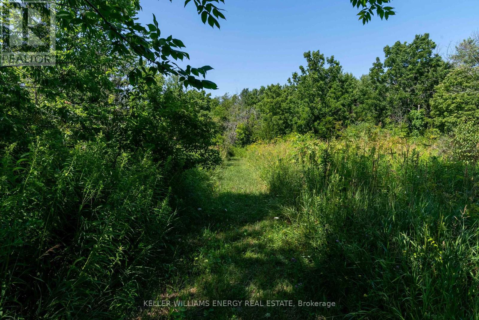 0 North Marysburgh Court, Prince Edward County, Ontario K0K 2T0 - Photo 27 - X12315456