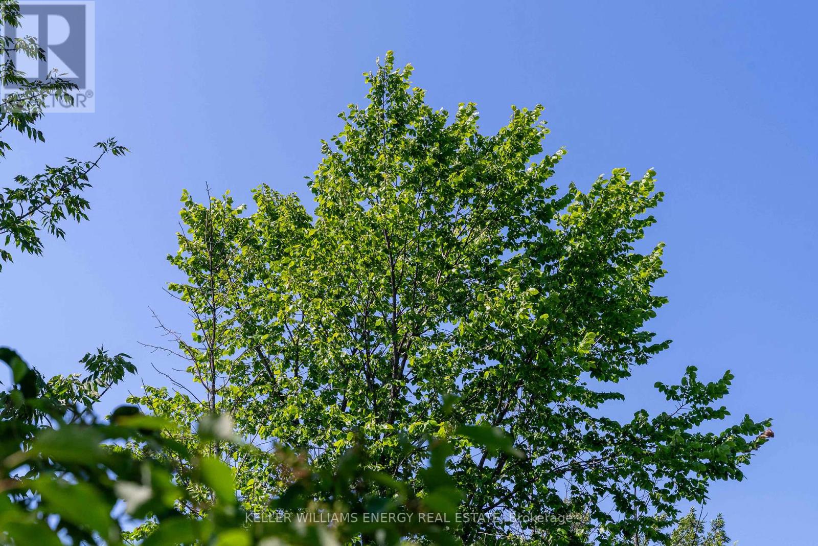 0 North Marysburgh Court, Prince Edward County, Ontario K0K 2T0 - Photo 28 - X12315456