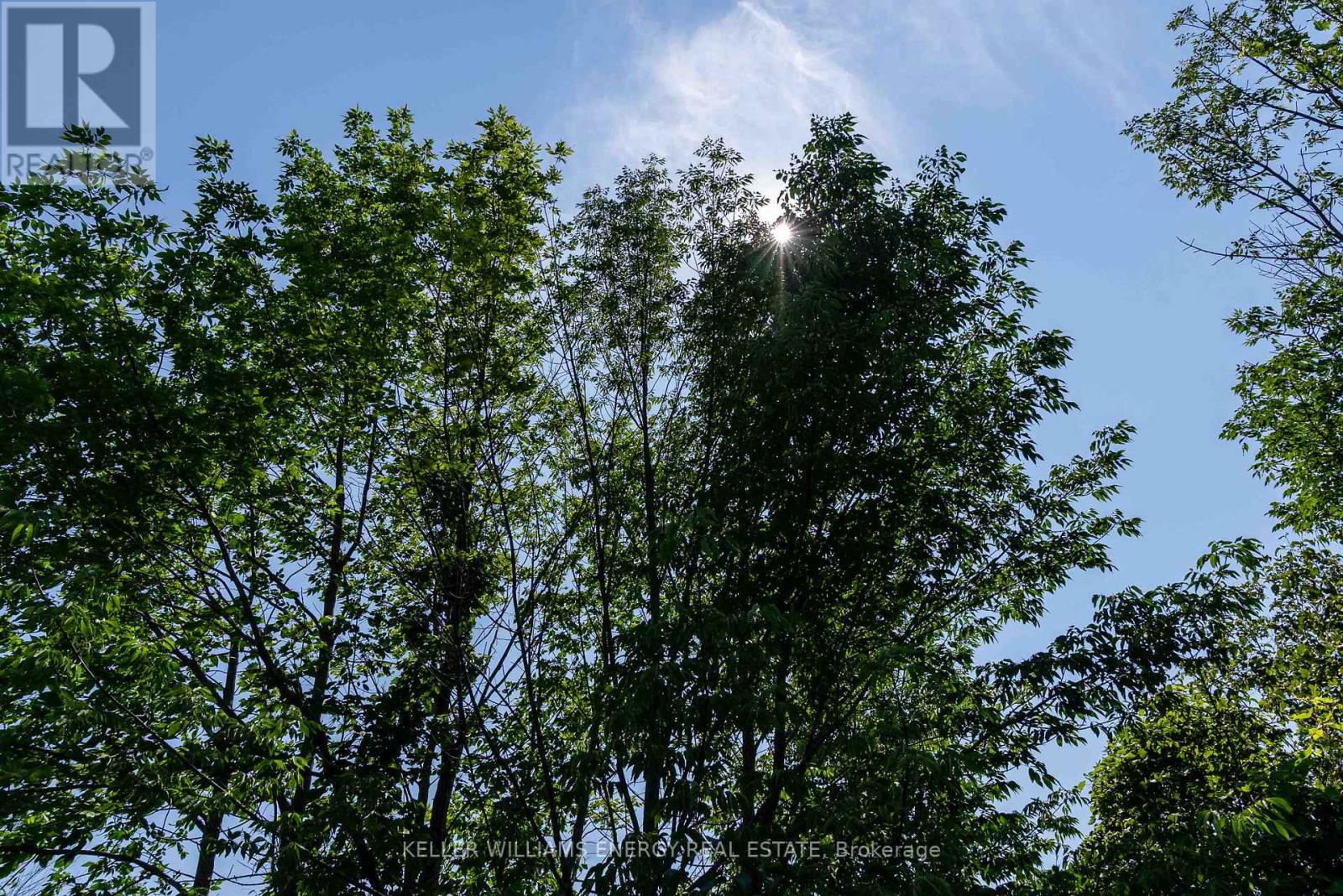 0 North Marysburgh Court, Prince Edward County, Ontario K0K 2T0 - Photo 29 - X12315456