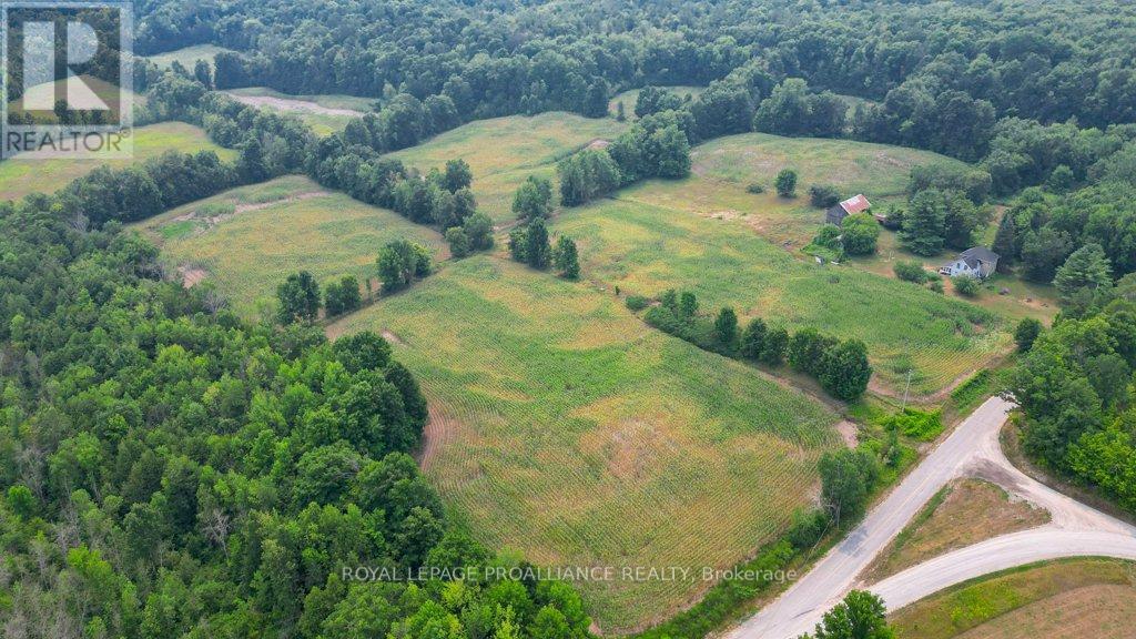 39 Palmateer Road, Tweed (Hungerford (Twp)), Ontario  K0K 3J0 - Photo 36 - X12315534