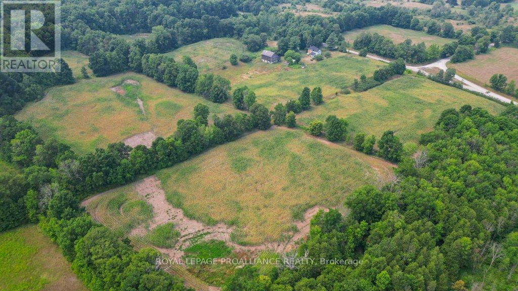 39 Palmateer Road, Tweed (Hungerford (Twp)), Ontario  K0K 3J0 - Photo 37 - X12315534