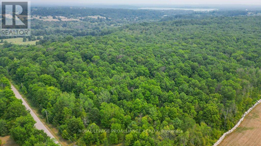 39 Palmateer Road, Tweed (Hungerford (Twp)), Ontario  K0K 3J0 - Photo 41 - X12315534