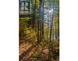 31099 HIGHWAY 7 HIGHWAY, Frontenac, Ontario