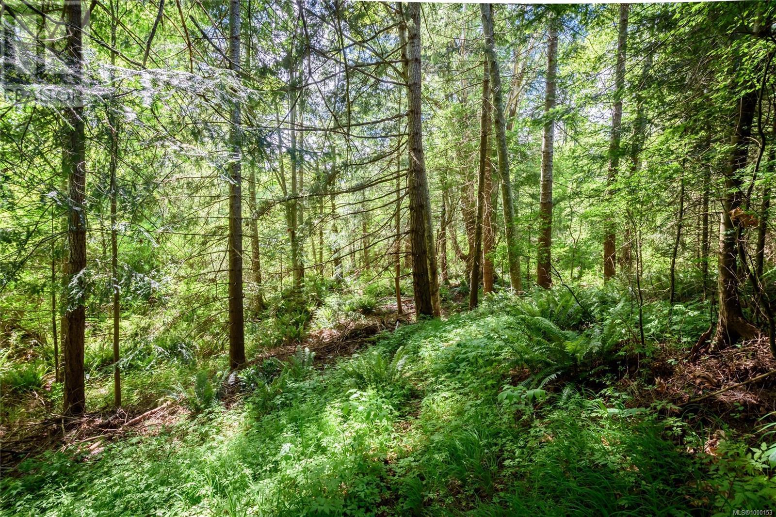 7478 Yake Rd, Fanny Bay, British Columbia  V0R 1W0 - Photo 37 - 1000153