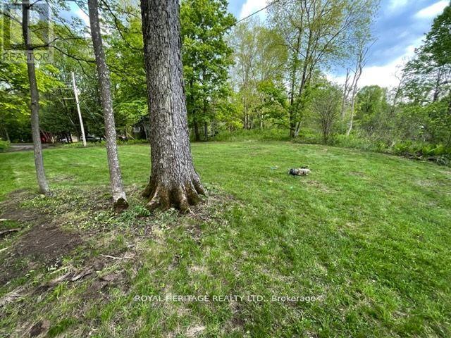 0 Cottage Lane, Tweed, Ontario  K0K 3J0 - Photo 6 - X12315509