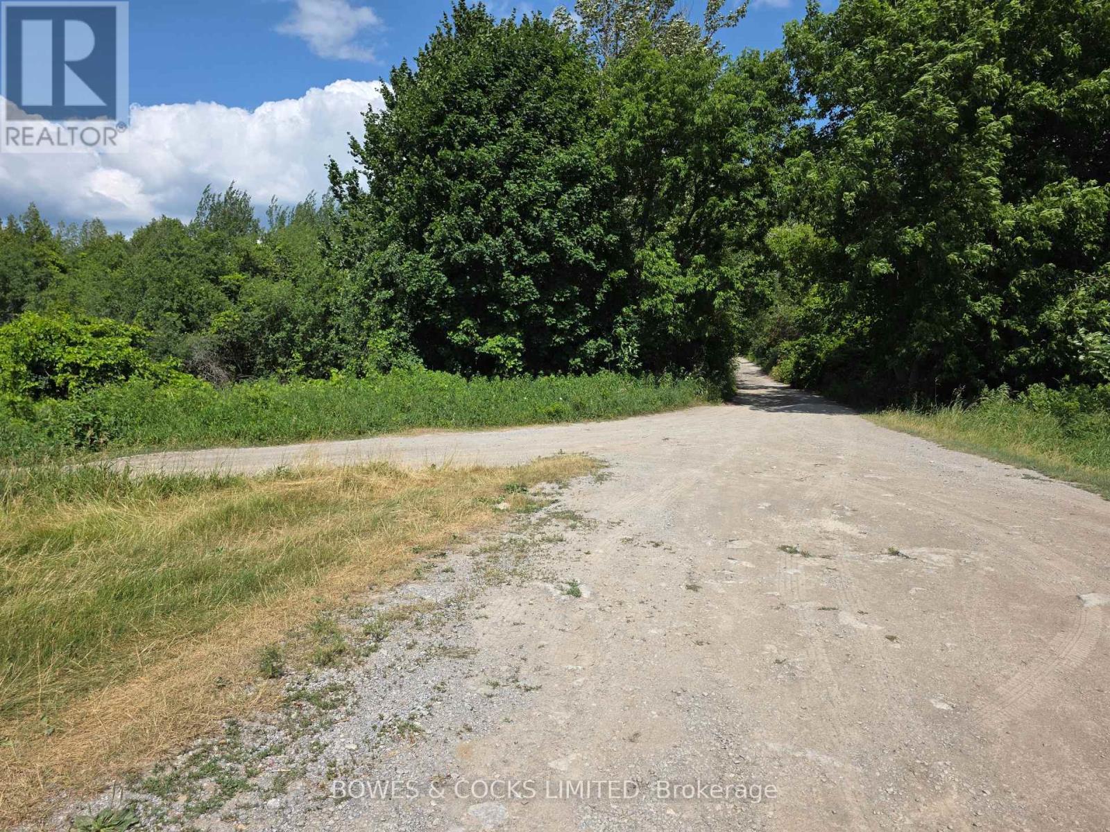 0 Cedarview Drive, Kawartha Lakes, Ontario  K0L 2W0 - Photo 4 - X12250674