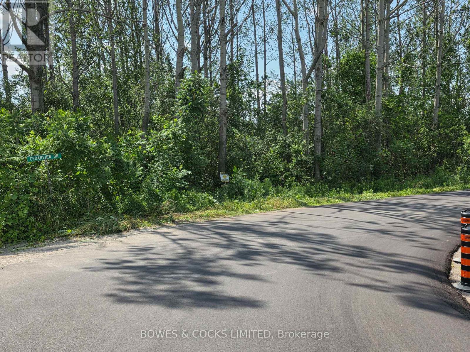 0 Cedarview Drive, Kawartha Lakes, Ontario  K0L 2W0 - Photo 5 - X12250674