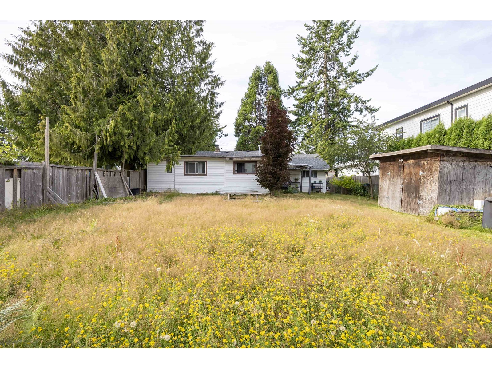 14080 110 Avenue, Surrey, British Columbia  V3R 1Z2 - Photo 6 - R3029655