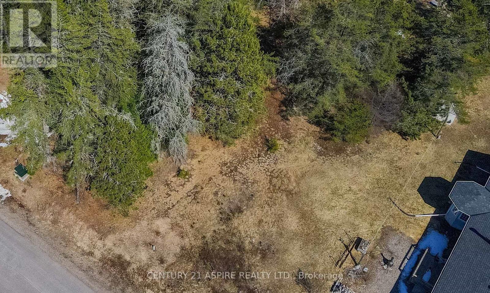18 Birchview Drive, Madawaska Valley, Ontario  K0J 1B0 - Photo 3 - X12315762