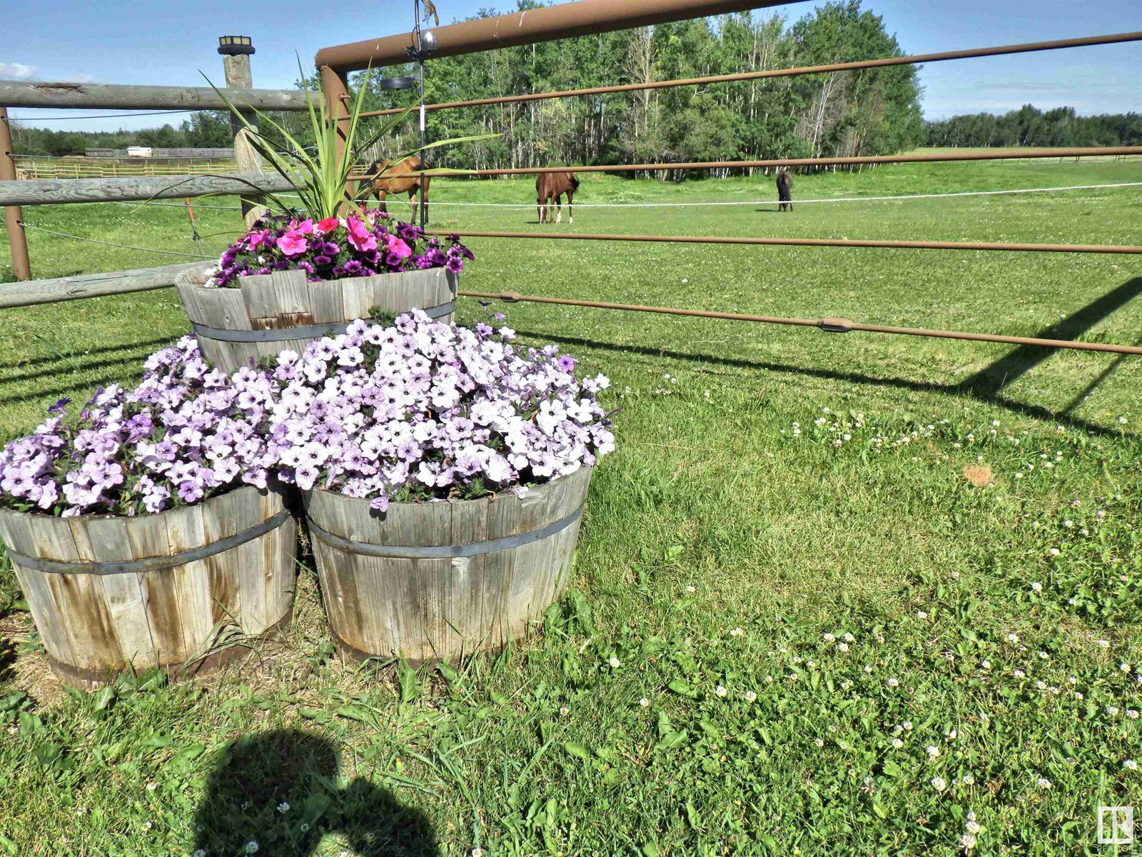 2310 Twp Road 554, Rural Lac Ste. Anne County, Alberta  T0E 1V0 - Photo 37 - E4446444