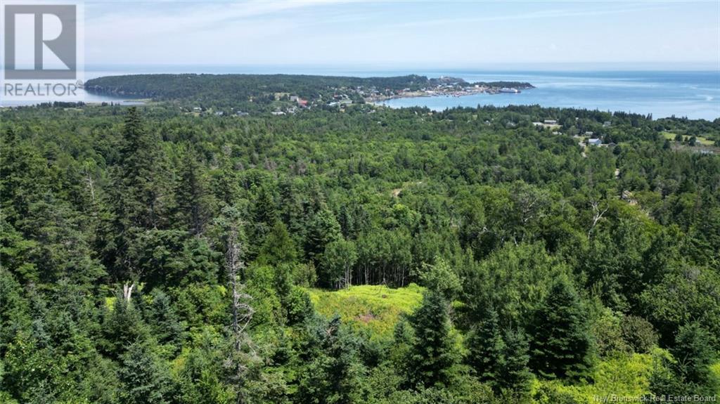 Lot 04-01 Green Street, Grand Manan, New Brunswick  E5G 4B8 - Photo 1 - NB124027