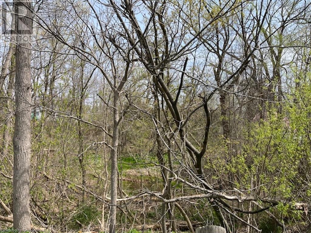 Photo 30 at 3 Holtby Street, Walsingham Photo 30 at 3 Holtby Street, Walsingham