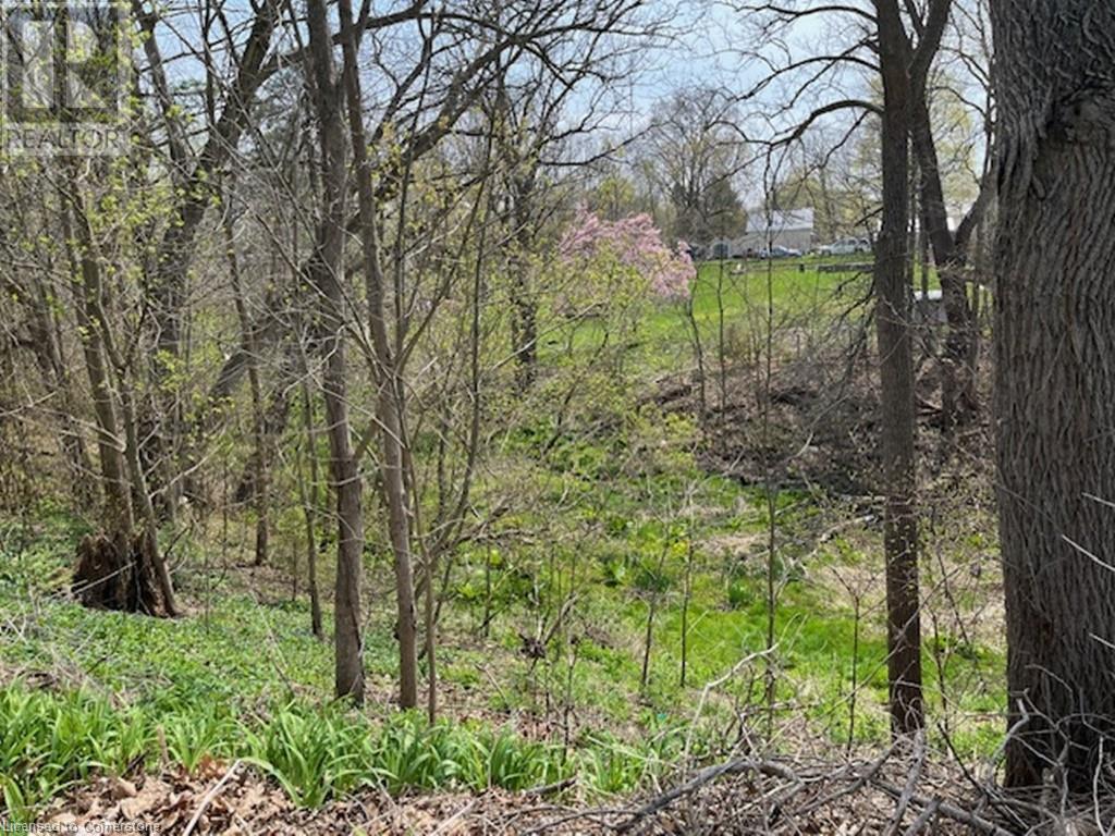 Photo 31 at 3 Holtby Street, Walsingham Photo 31 at 3 Holtby Street, Walsingham