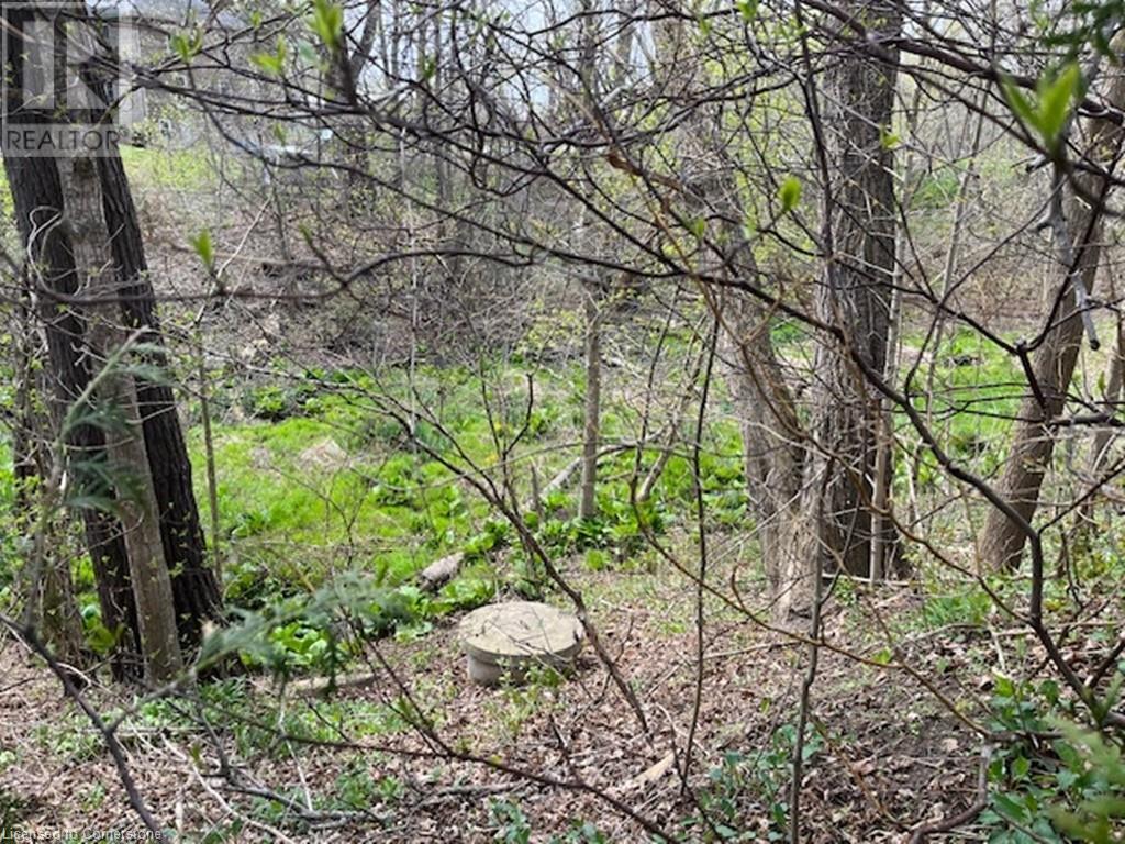 Photo 32 at 3 Holtby Street, Walsingham Photo 32 at 3 Holtby Street, Walsingham