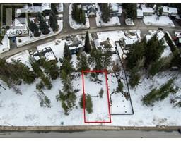 1037 Williams Gate Lane Revelstoke, Revelstoke, Ca