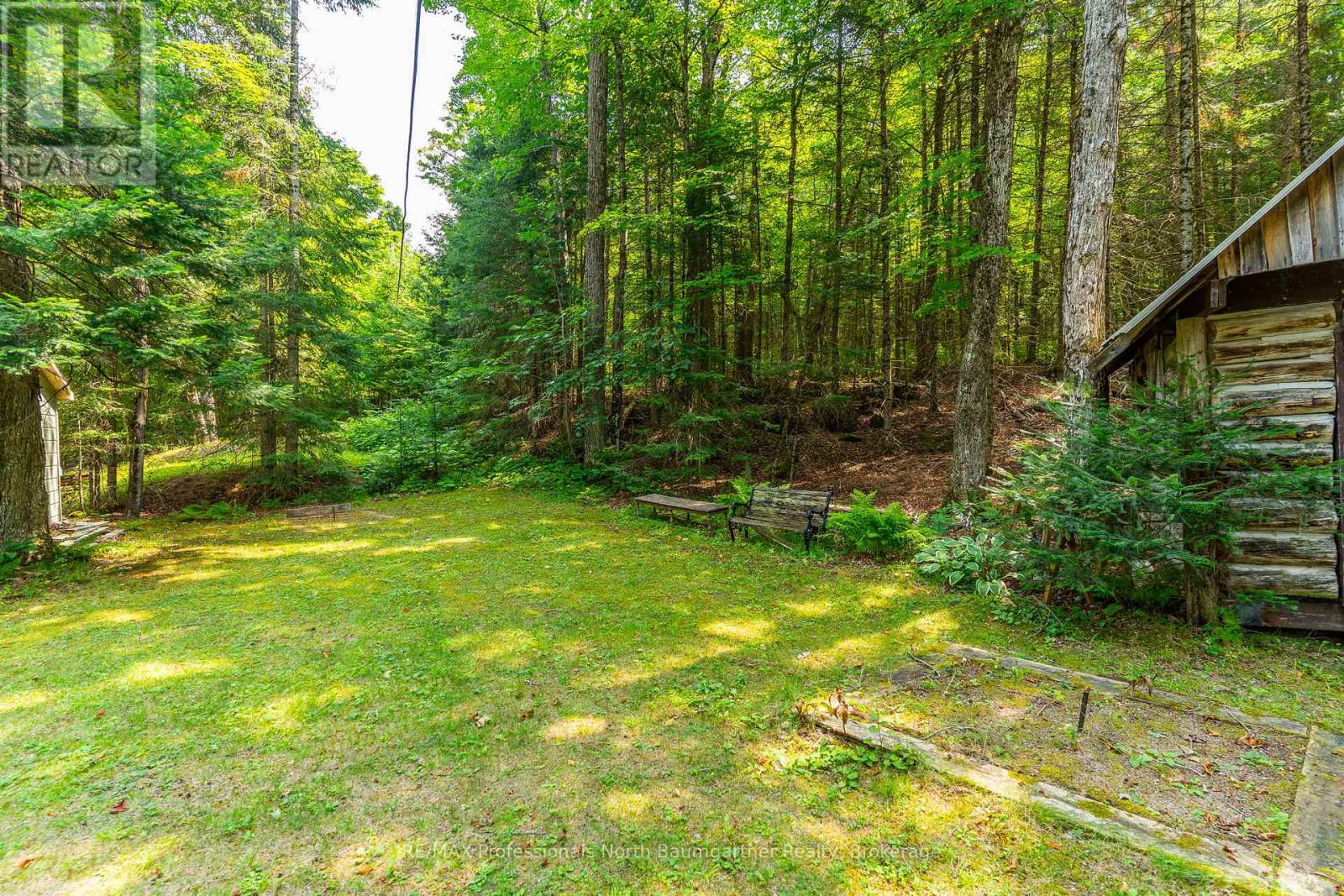 1056 Kodiak Trail, Highlands East, Ontario  K0M 1R0 - Photo 24 - X12315993