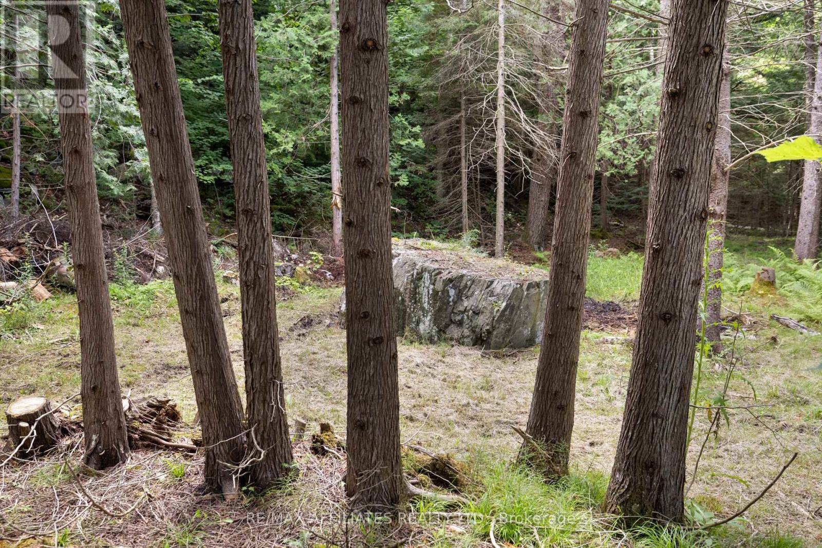 24163 Highway 7 Highway, Frontenac, Ontario  K0H 2P0 - Photo 39 - X12308774